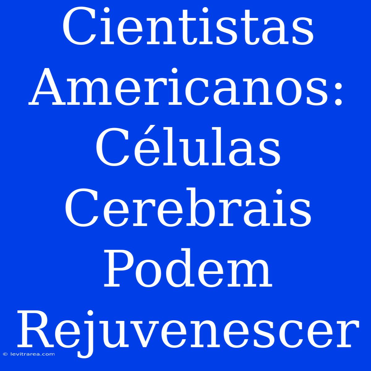 Cientistas Americanos: Células Cerebrais Podem Rejuvenescer