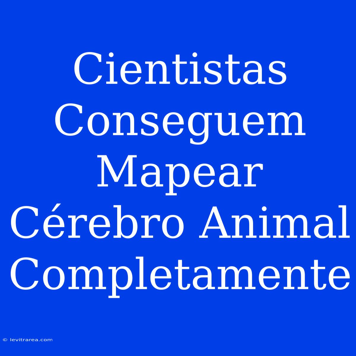 Cientistas Conseguem Mapear Cérebro Animal Completamente