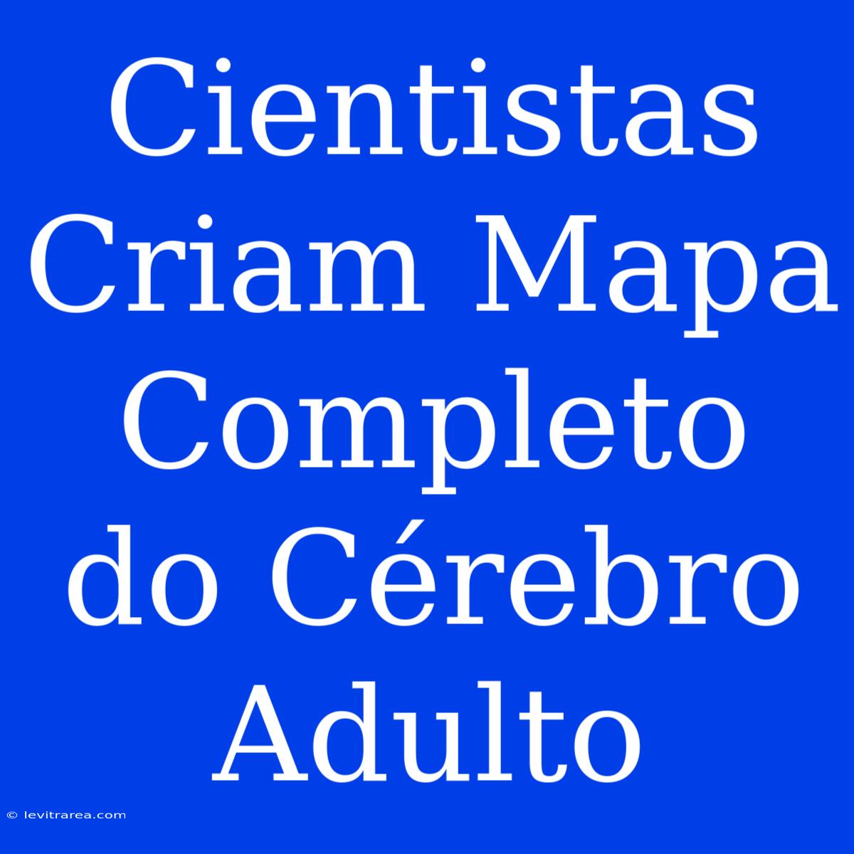 Cientistas Criam Mapa Completo Do Cérebro Adulto