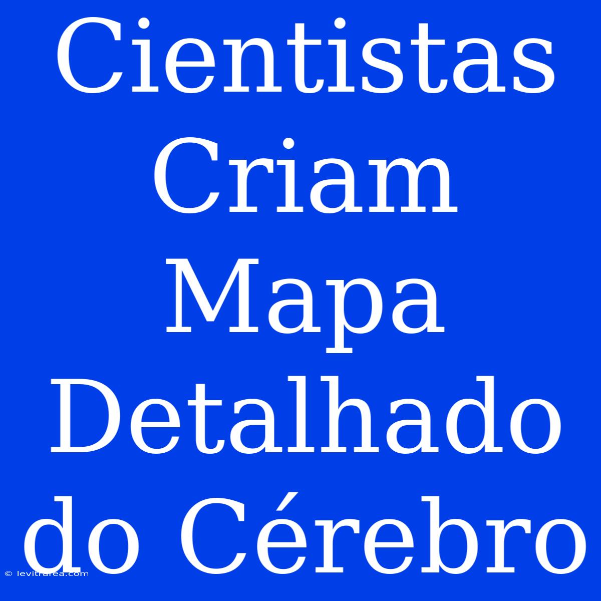 Cientistas Criam Mapa Detalhado Do Cérebro