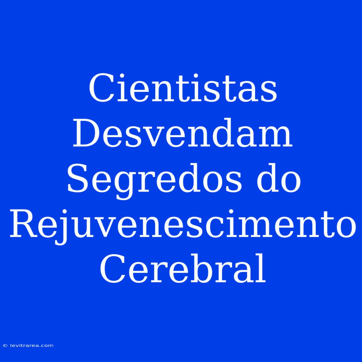 Cientistas Desvendam Segredos Do Rejuvenescimento Cerebral