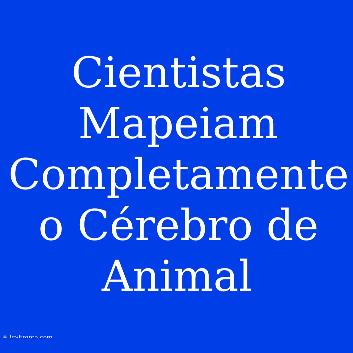 Cientistas Mapeiam Completamente O Cérebro De Animal