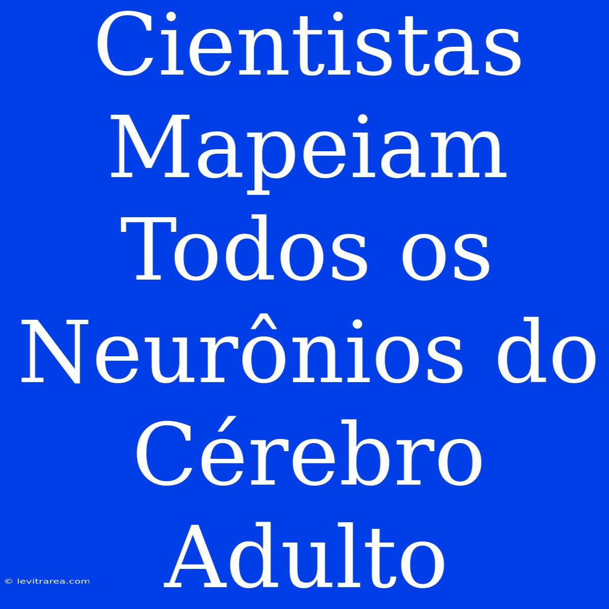 Cientistas Mapeiam Todos Os Neurônios Do Cérebro Adulto