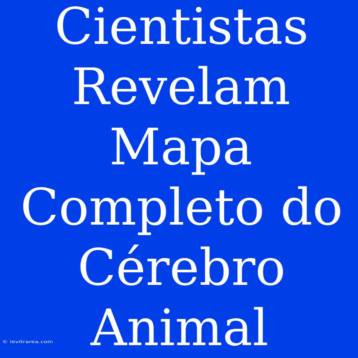 Cientistas Revelam Mapa Completo Do Cérebro Animal