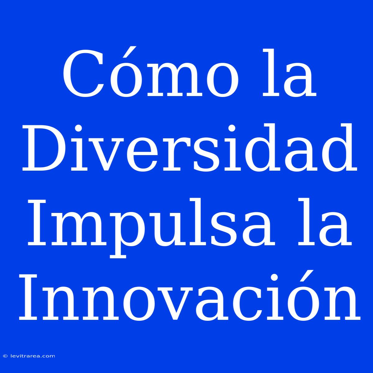 Cómo La Diversidad Impulsa La Innovación