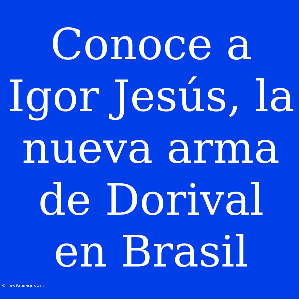 Conoce A Igor Jesús, La Nueva Arma De Dorival En Brasil