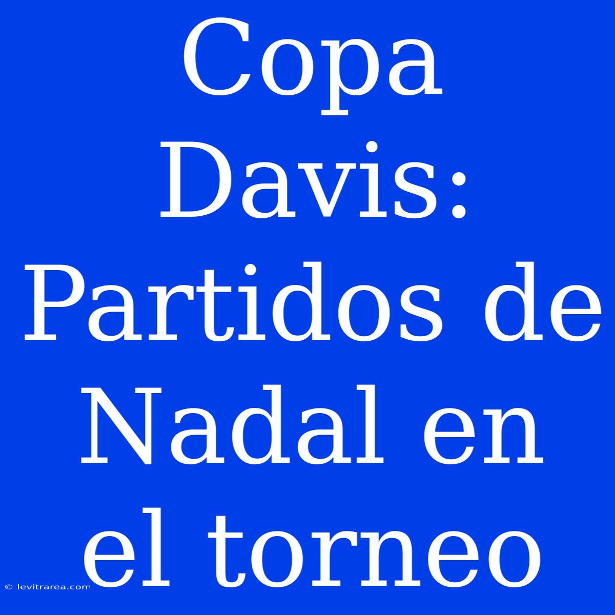 Copa Davis: Partidos De Nadal En El Torneo