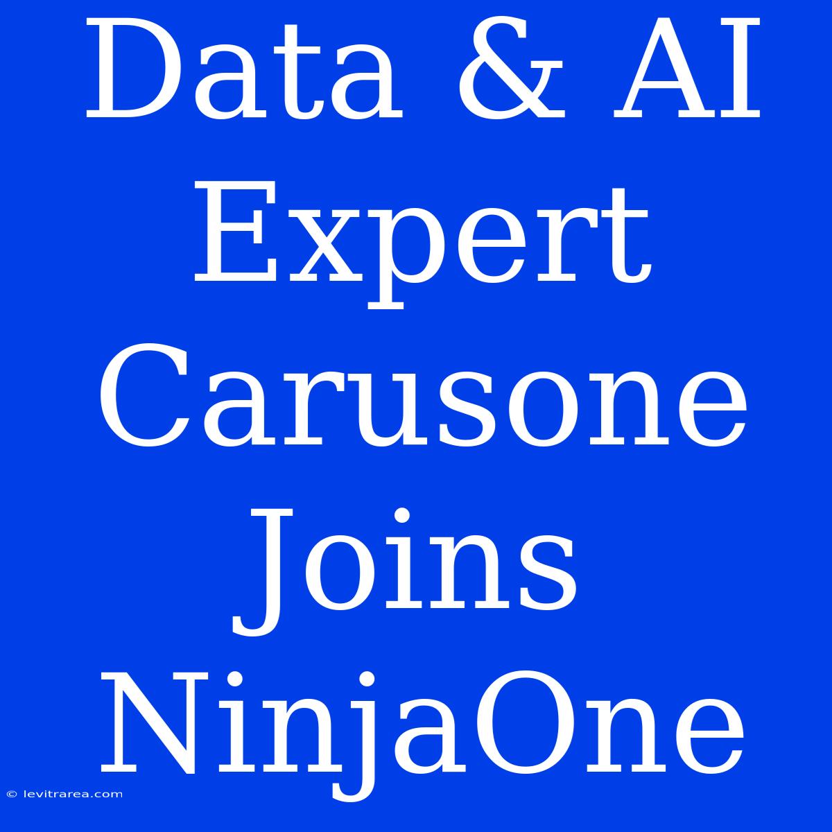 Data & AI Expert Carusone Joins NinjaOne