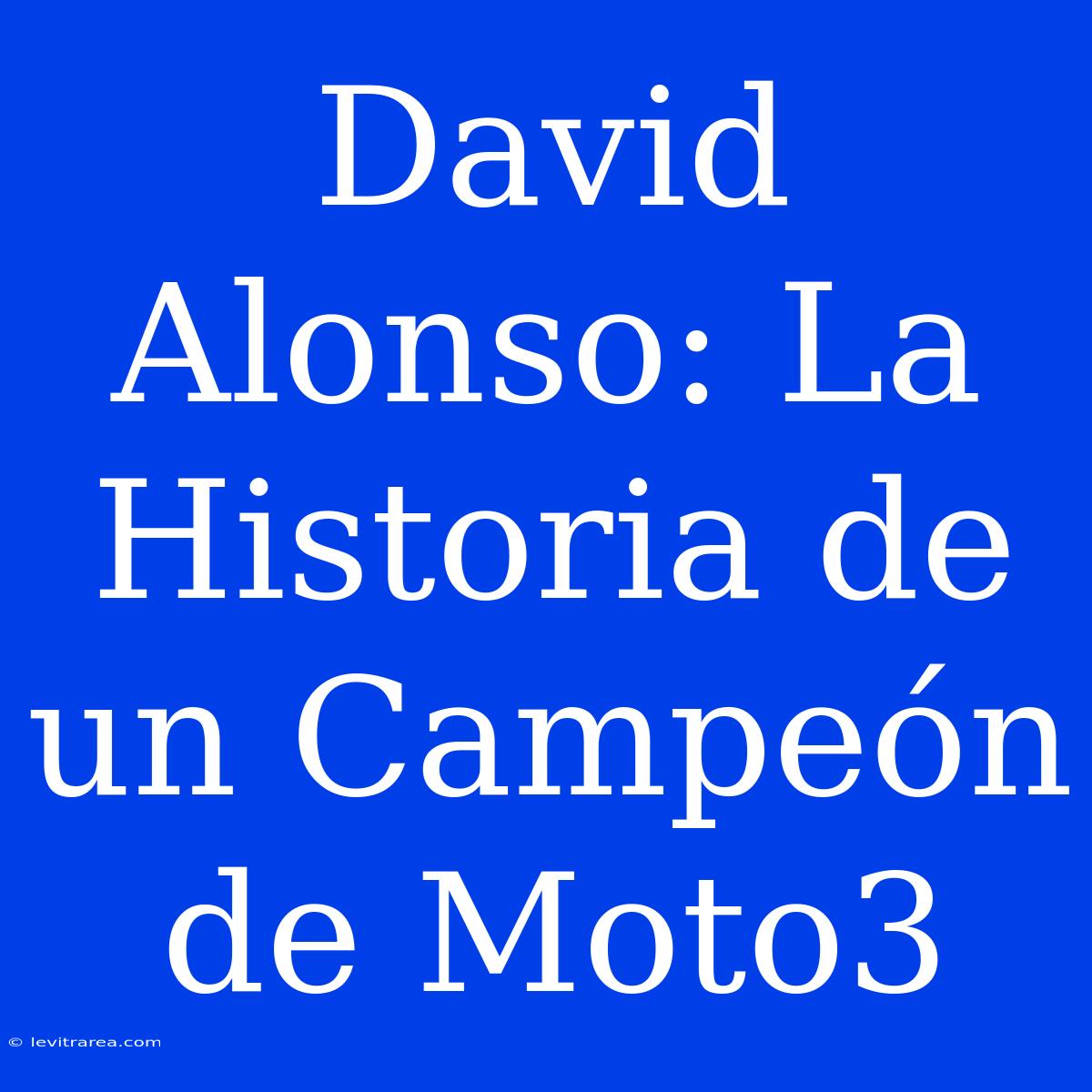 David Alonso: La Historia De Un Campeón De Moto3