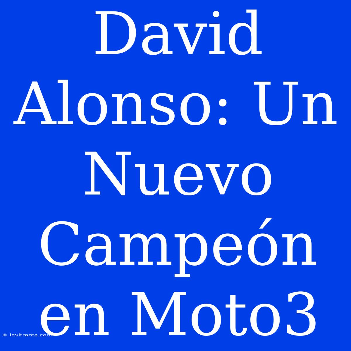 David Alonso: Un Nuevo Campeón En Moto3