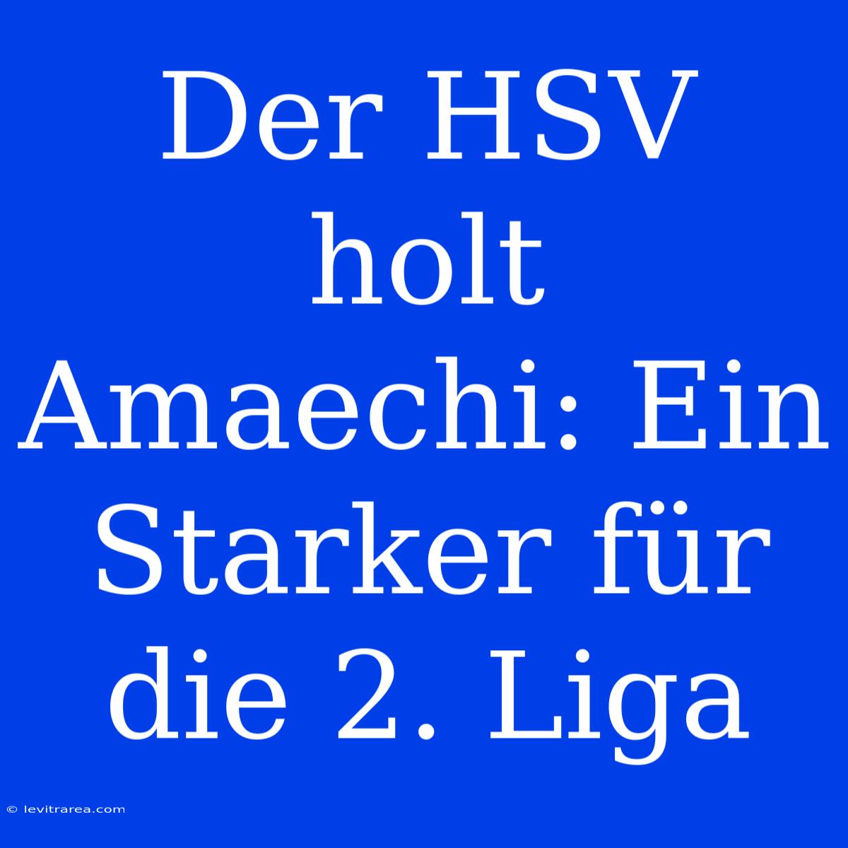 Der HSV Holt Amaechi: Ein Starker Für Die 2. Liga