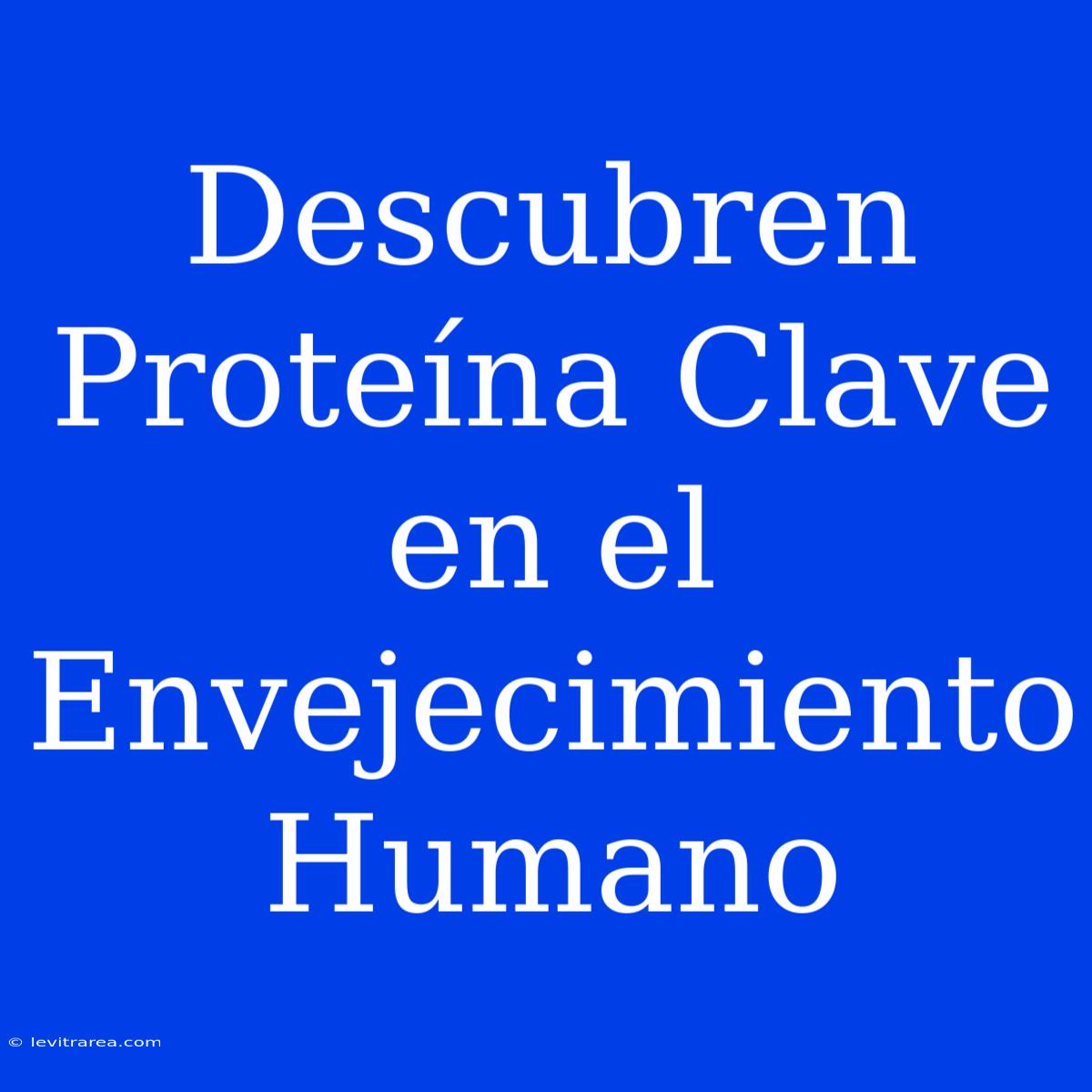 Descubren Proteína Clave En El Envejecimiento Humano