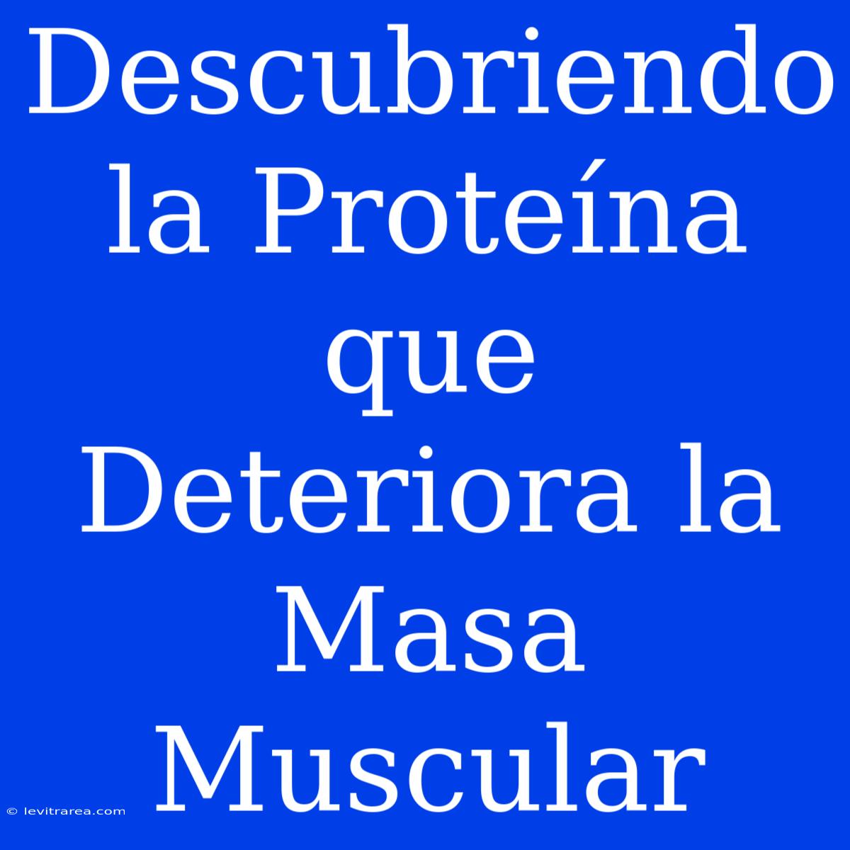 Descubriendo La Proteína Que Deteriora La Masa Muscular