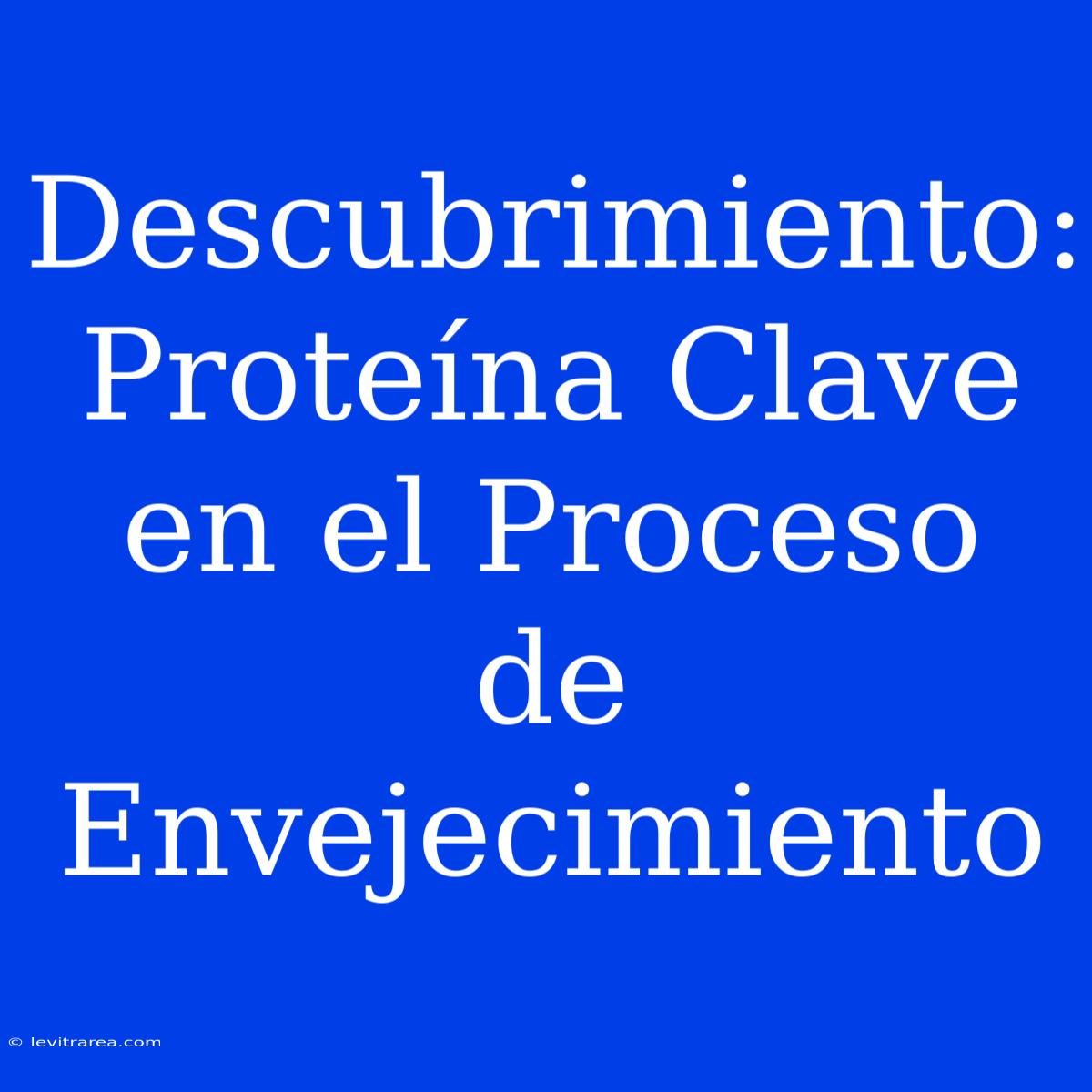 Descubrimiento: Proteína Clave En El Proceso De Envejecimiento 