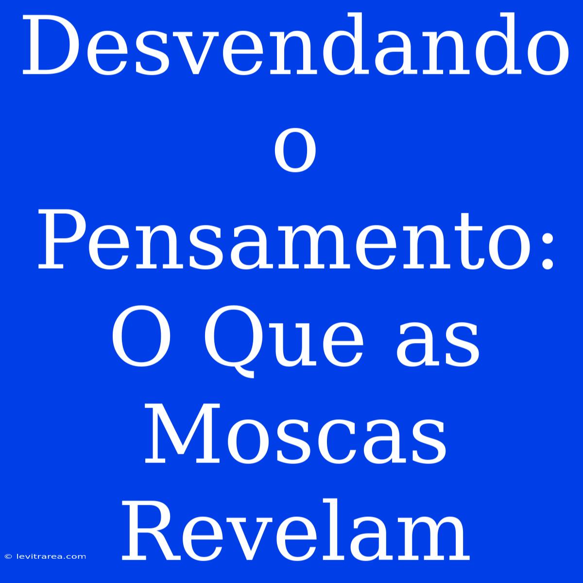 Desvendando O Pensamento: O Que As Moscas Revelam