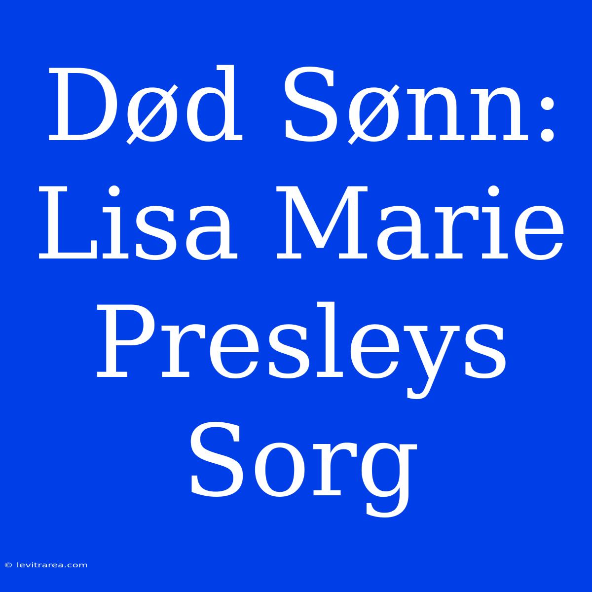 Død Sønn: Lisa Marie Presleys Sorg 