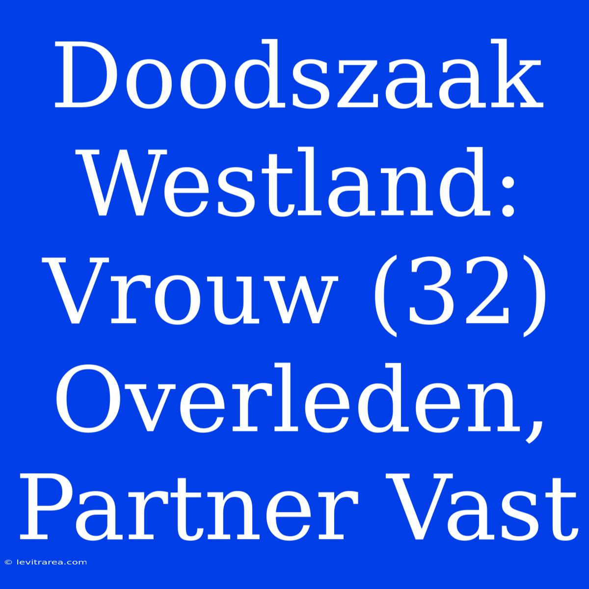 Doodszaak Westland: Vrouw (32) Overleden, Partner Vast