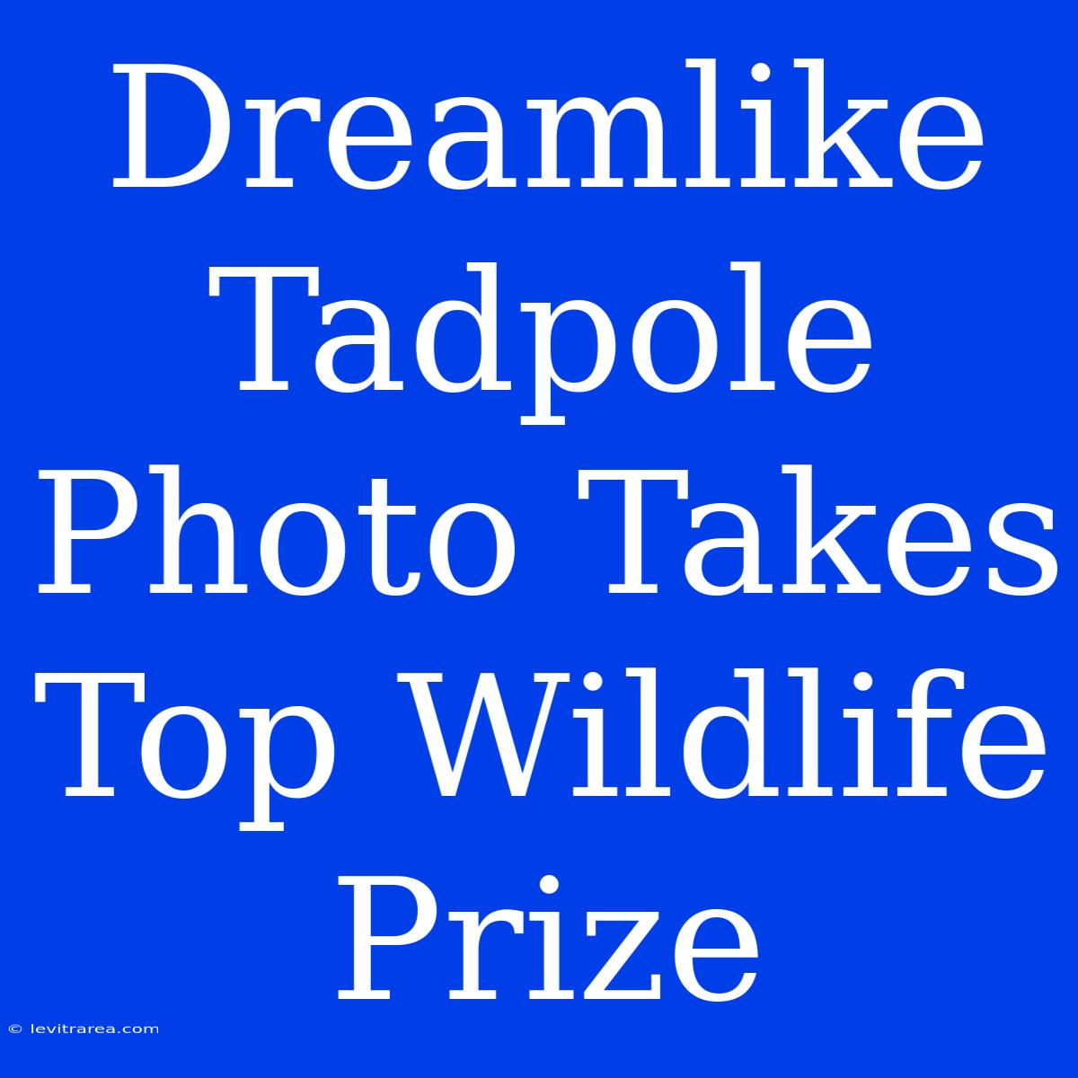 Dreamlike Tadpole Photo Takes Top Wildlife Prize 