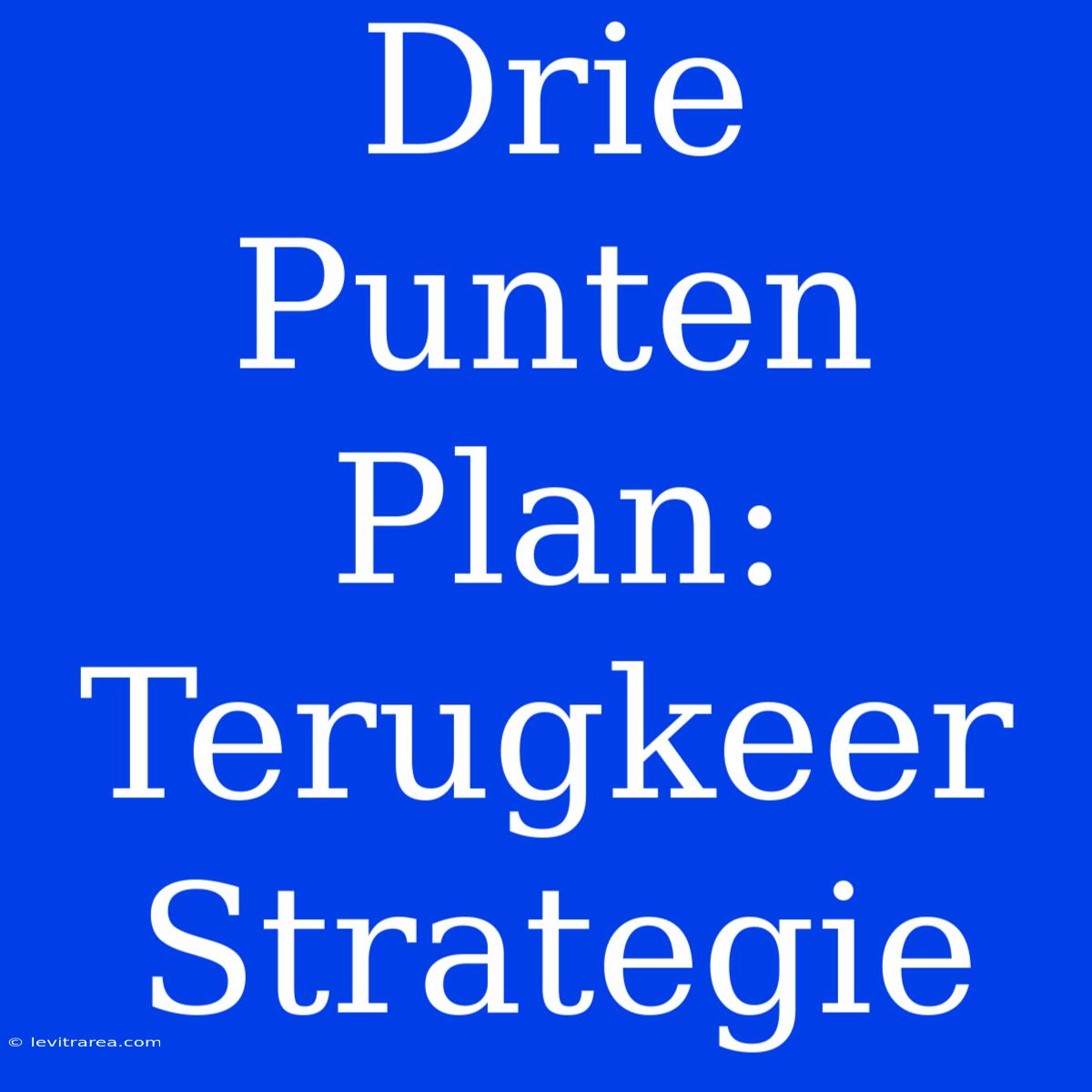 Drie Punten Plan: Terugkeer Strategie