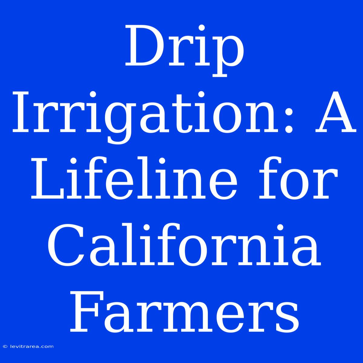 Drip Irrigation: A Lifeline For California Farmers