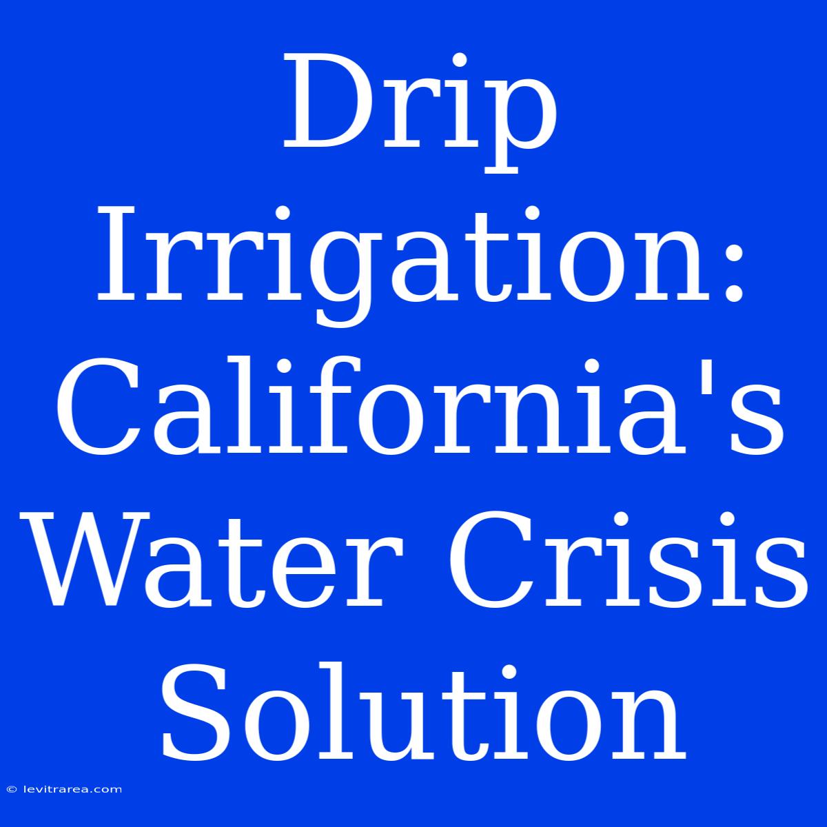 Drip Irrigation: California's Water Crisis Solution