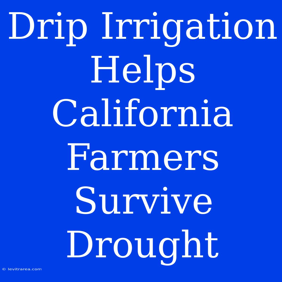 Drip Irrigation Helps California Farmers Survive Drought