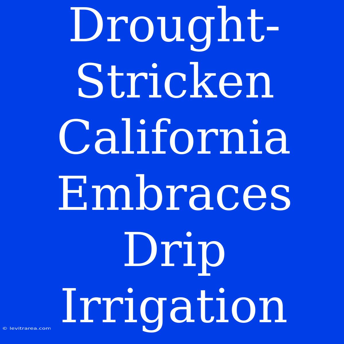 Drought-Stricken California Embraces Drip Irrigation