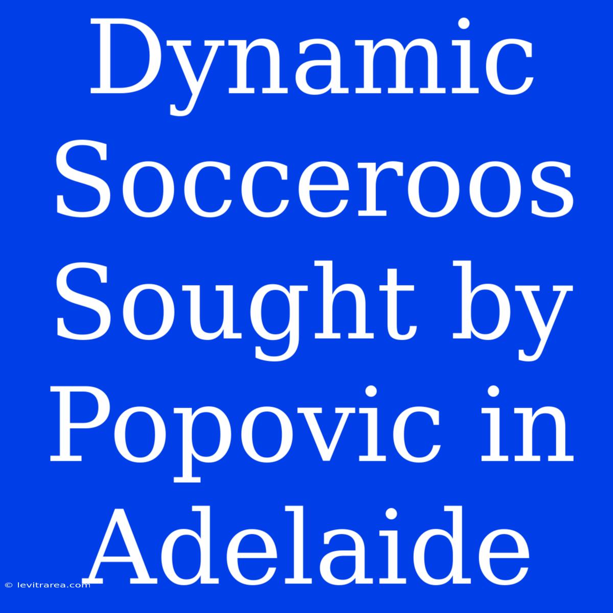 Dynamic Socceroos Sought By Popovic In Adelaide