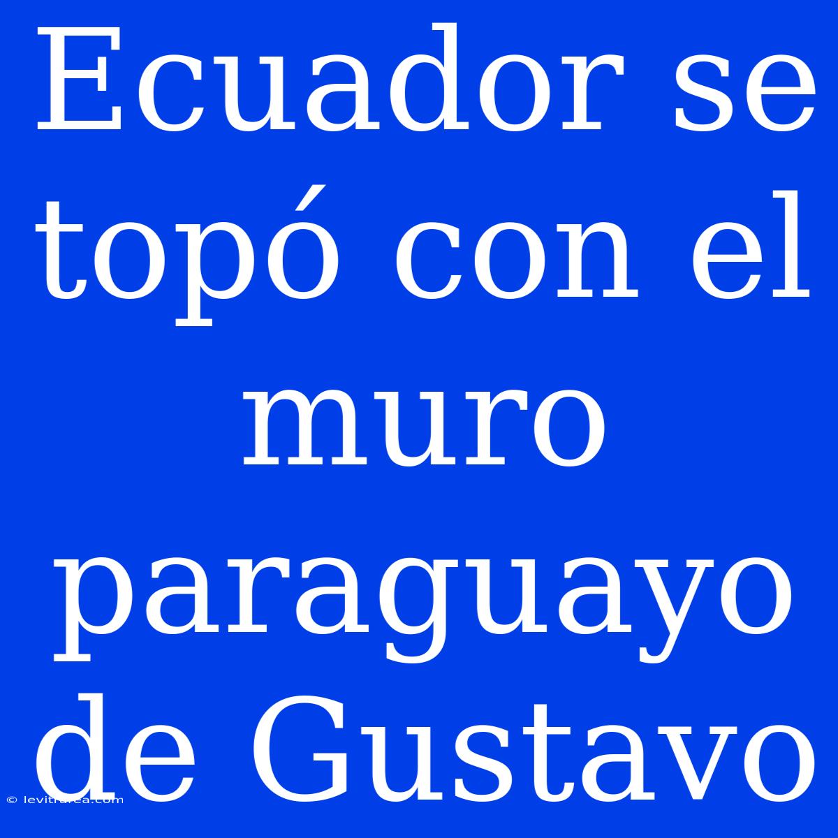 Ecuador Se Topó Con El Muro Paraguayo De Gustavo