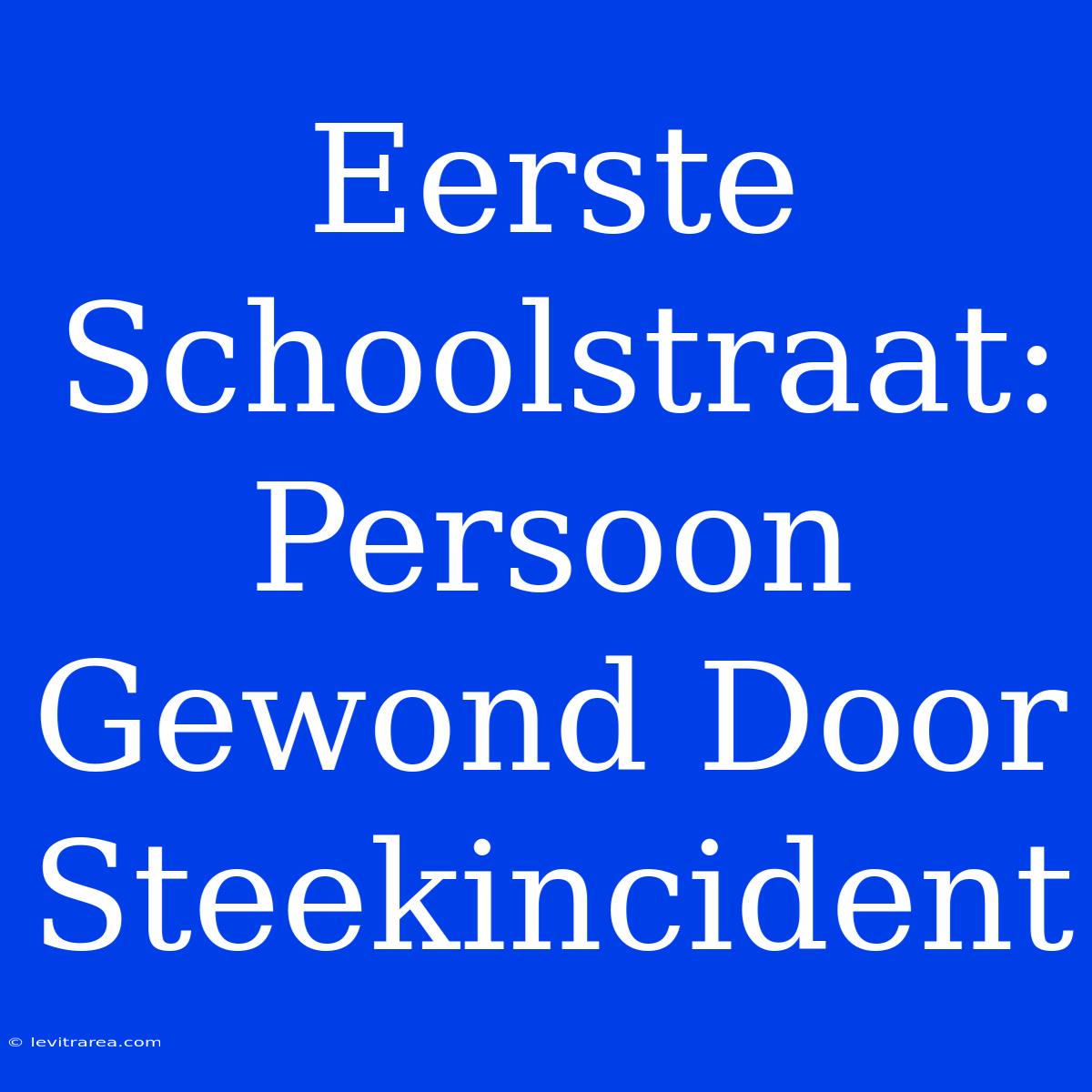 Eerste Schoolstraat: Persoon Gewond Door Steekincident