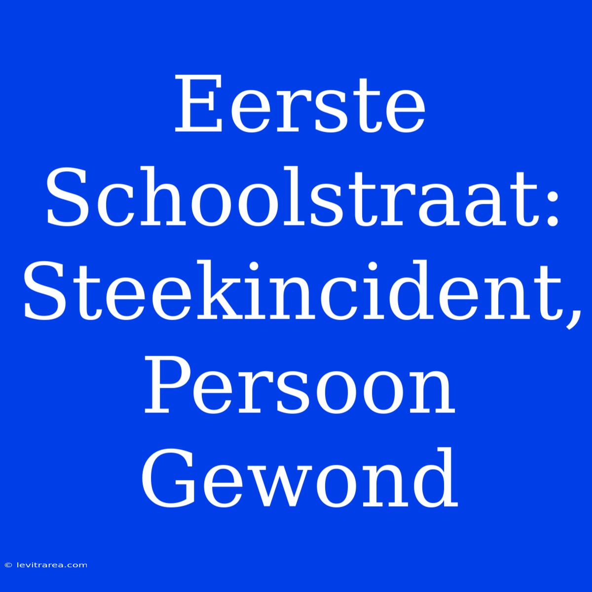 Eerste Schoolstraat: Steekincident, Persoon Gewond