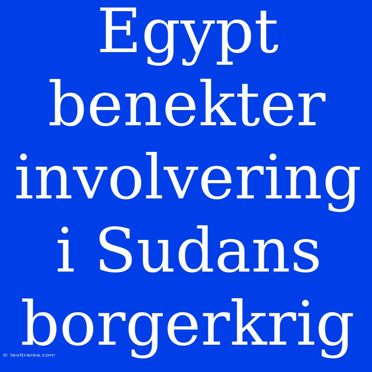 Egypt Benekter Involvering I Sudans Borgerkrig