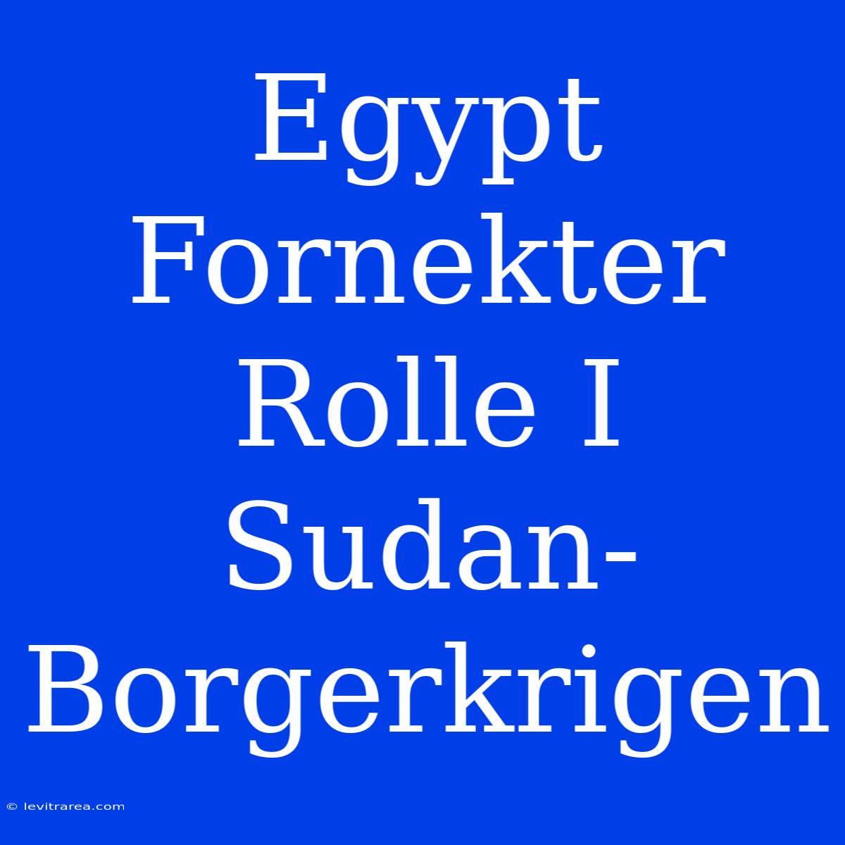 Egypt Fornekter Rolle I Sudan-Borgerkrigen 