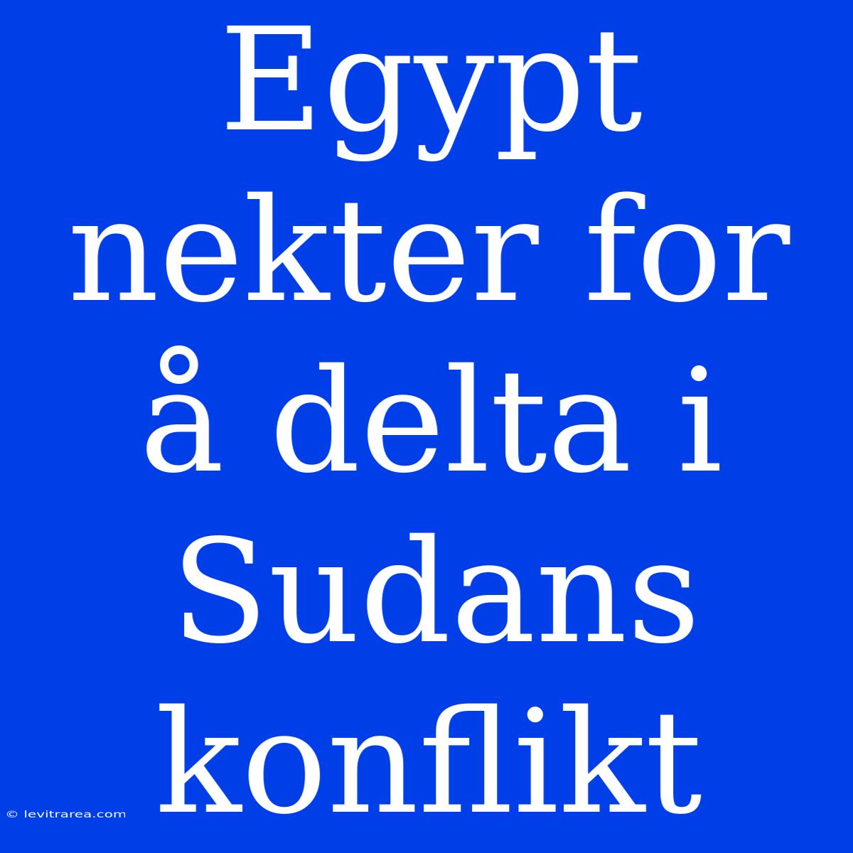 Egypt Nekter For Å Delta I Sudans Konflikt