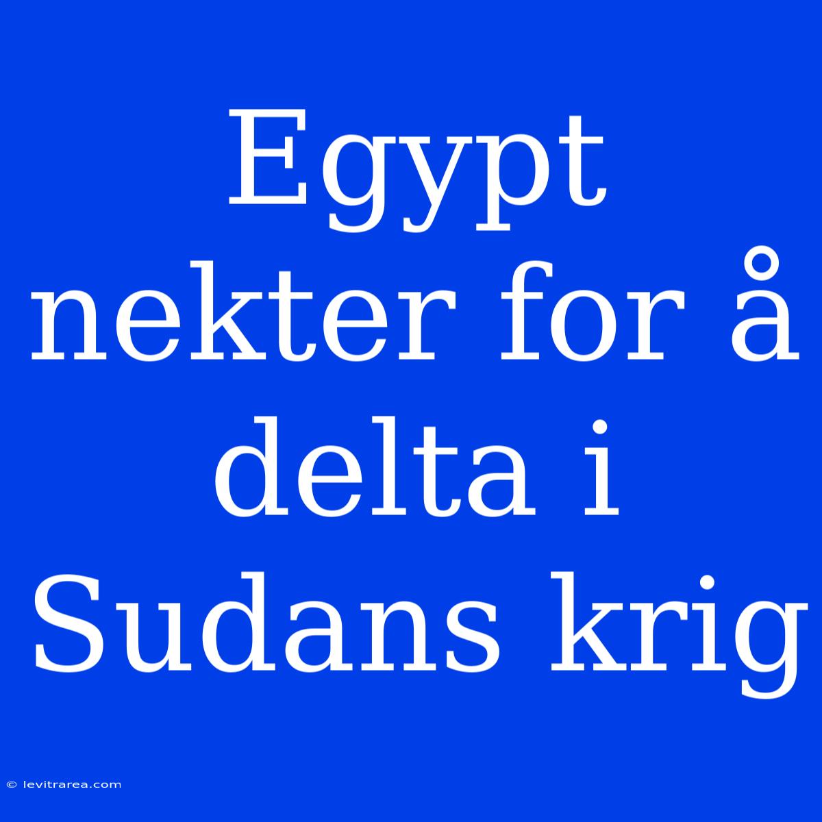 Egypt Nekter For Å Delta I Sudans Krig