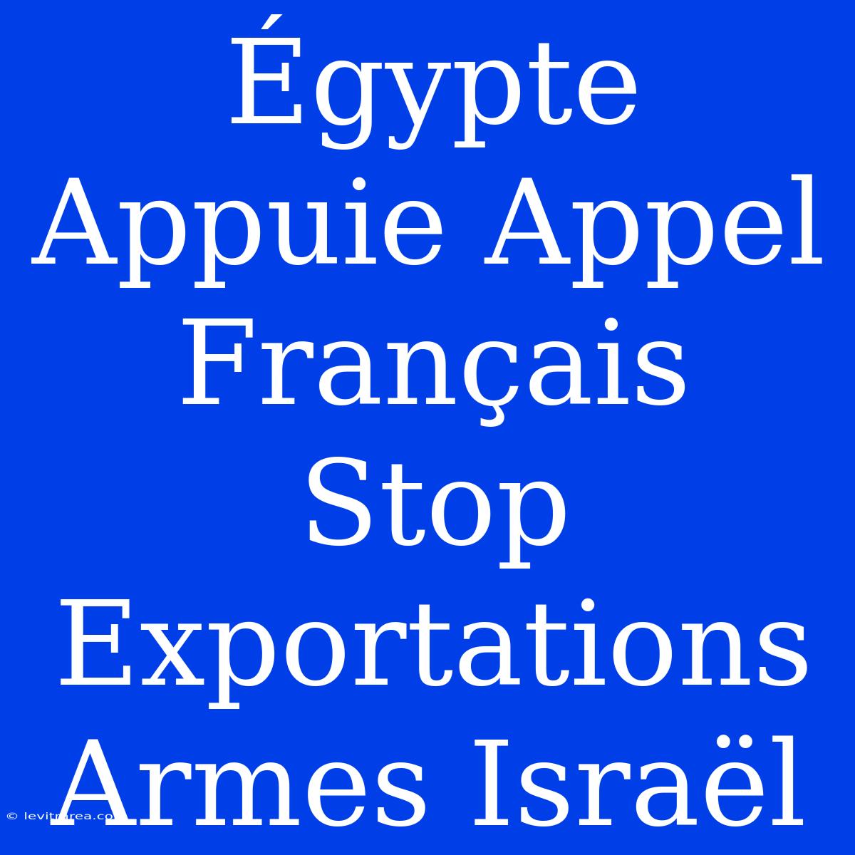 Égypte Appuie Appel Français Stop Exportations Armes Israël