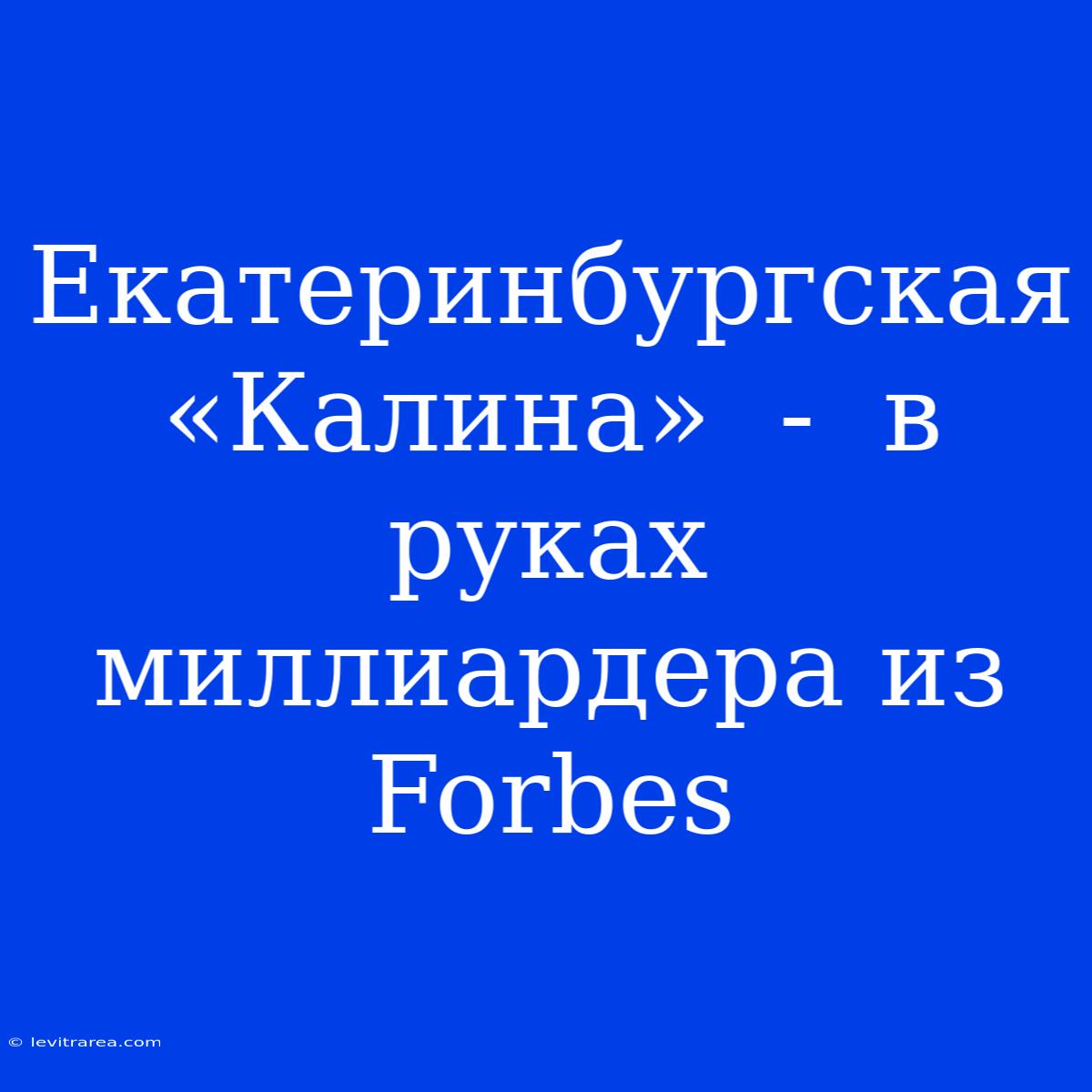 Екатеринбургская «Калина»  -  В Руках Миллиардера Из Forbes