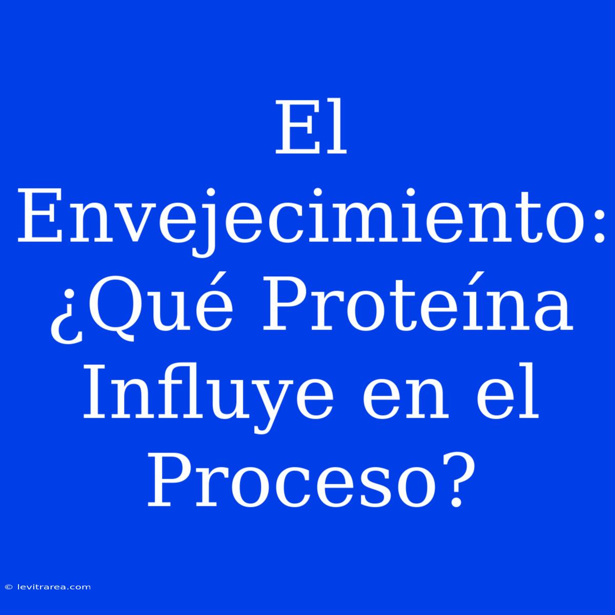 El Envejecimiento: ¿Qué Proteína Influye En El Proceso?