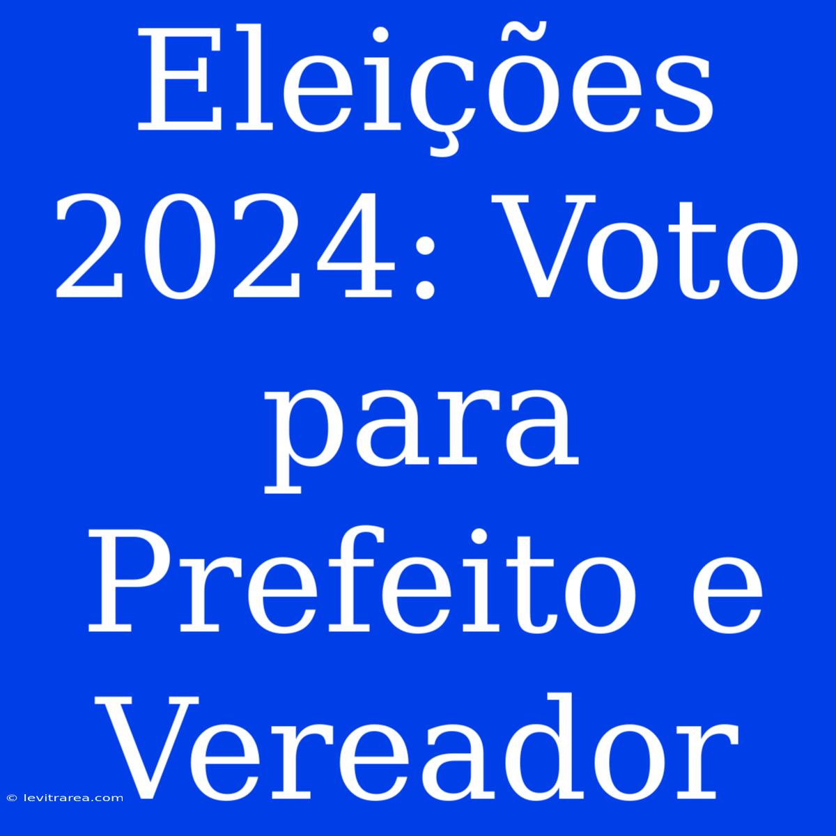 Eleições 2024: Voto Para Prefeito E Vereador 