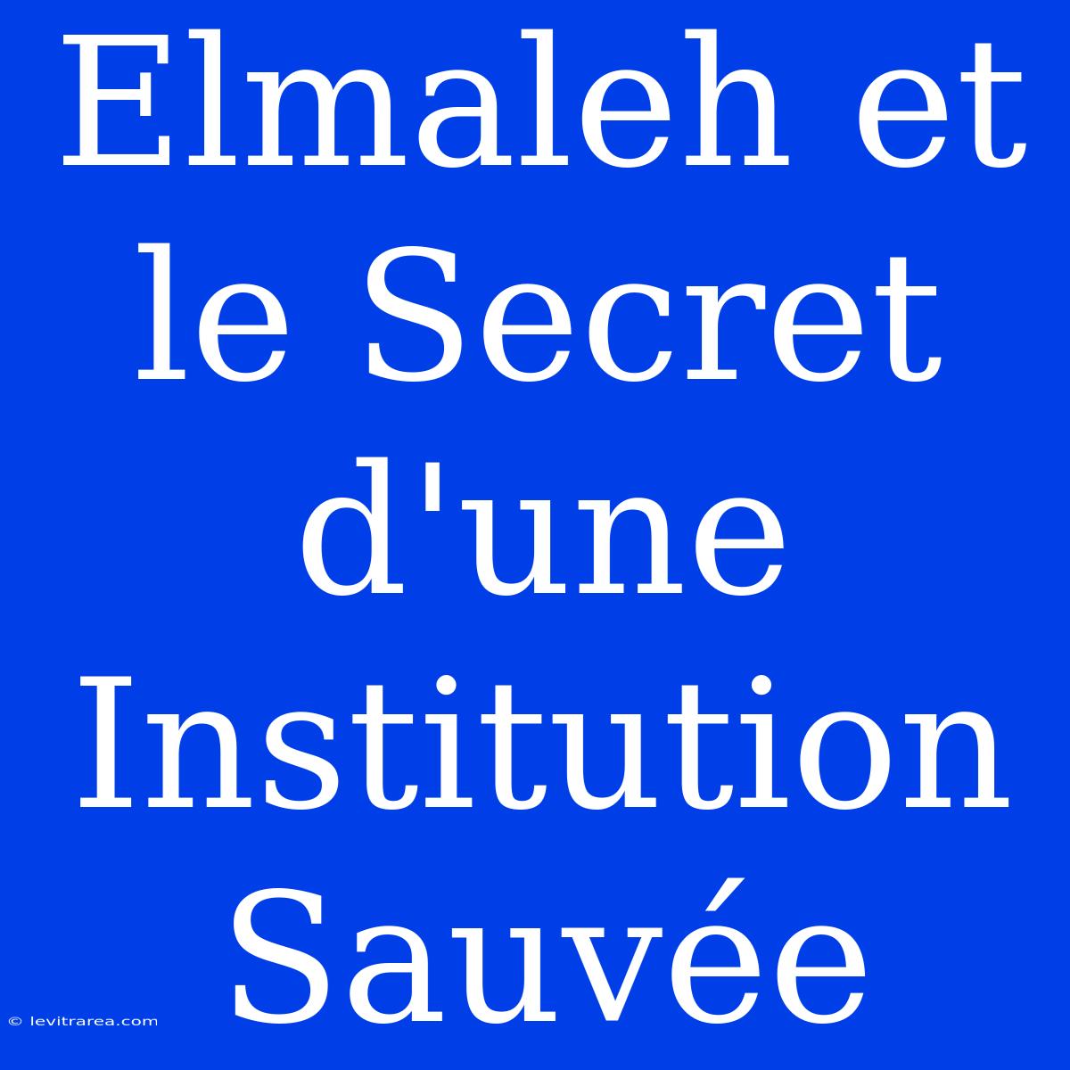 Elmaleh Et Le Secret D'une Institution Sauvée