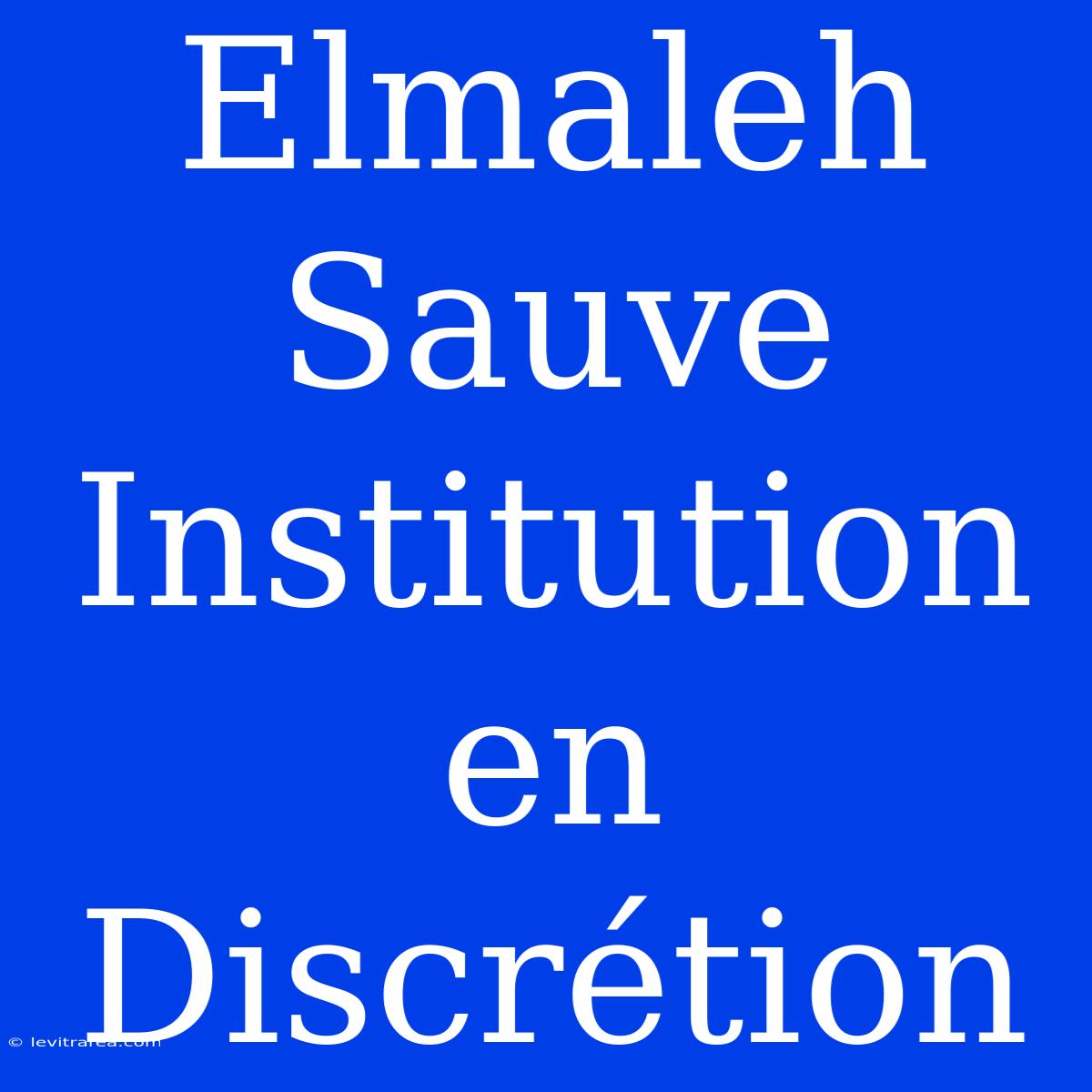 Elmaleh Sauve Institution En Discrétion