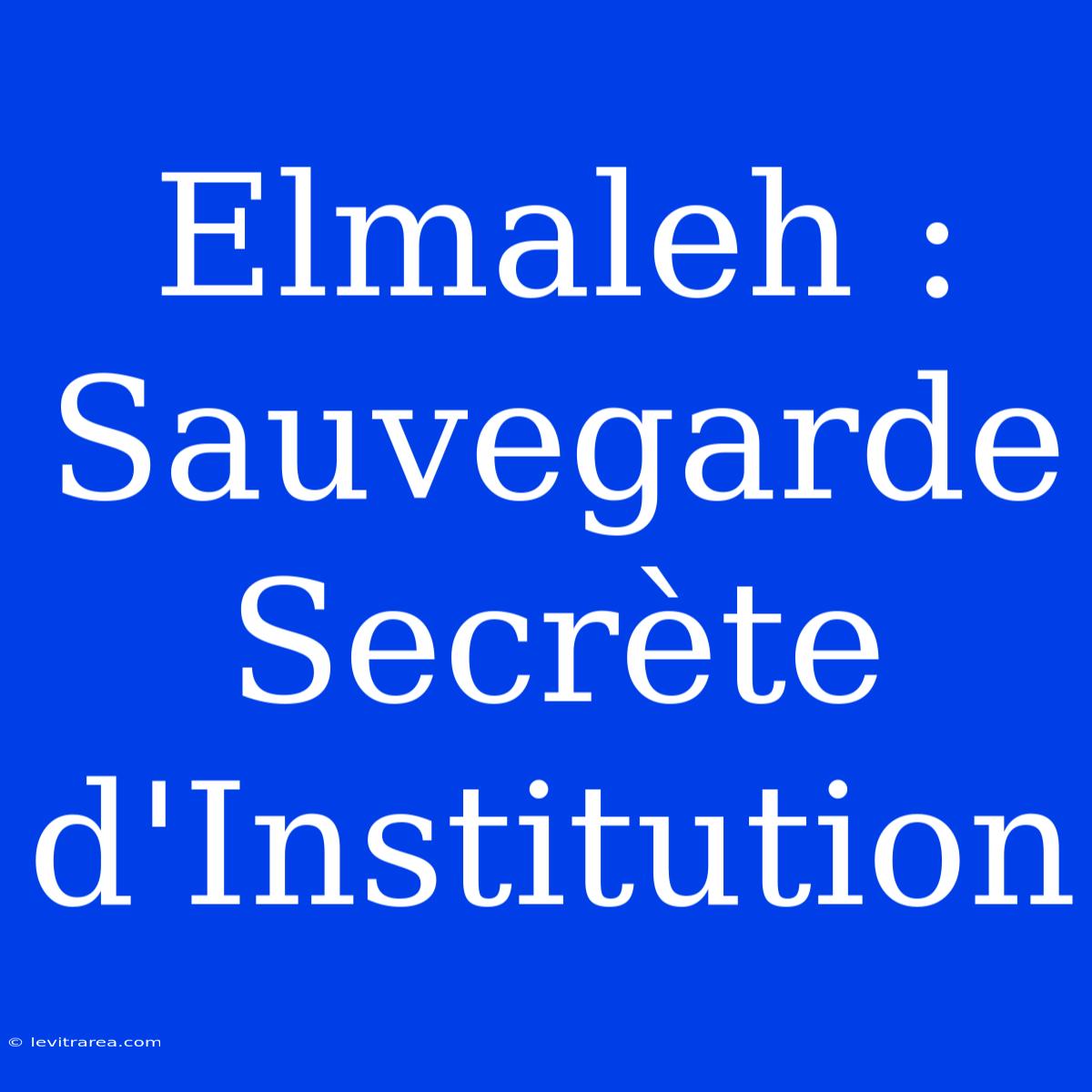 Elmaleh : Sauvegarde Secrète D'Institution