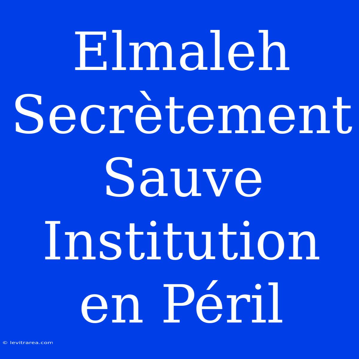 Elmaleh Secrètement Sauve Institution En Péril