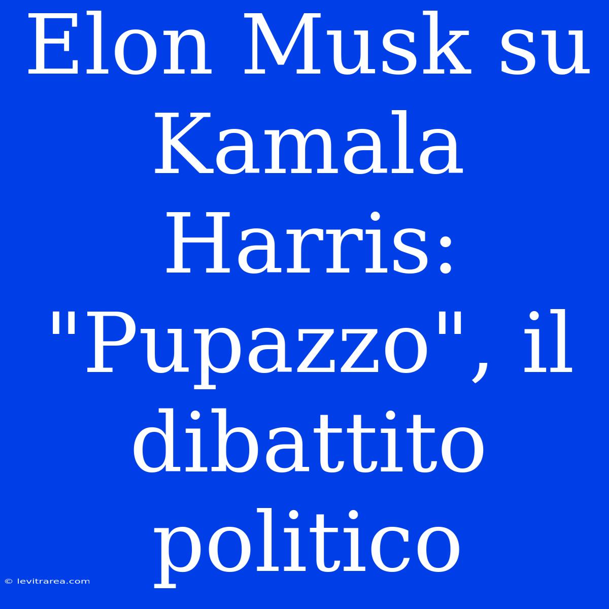 Elon Musk Su Kamala Harris: 