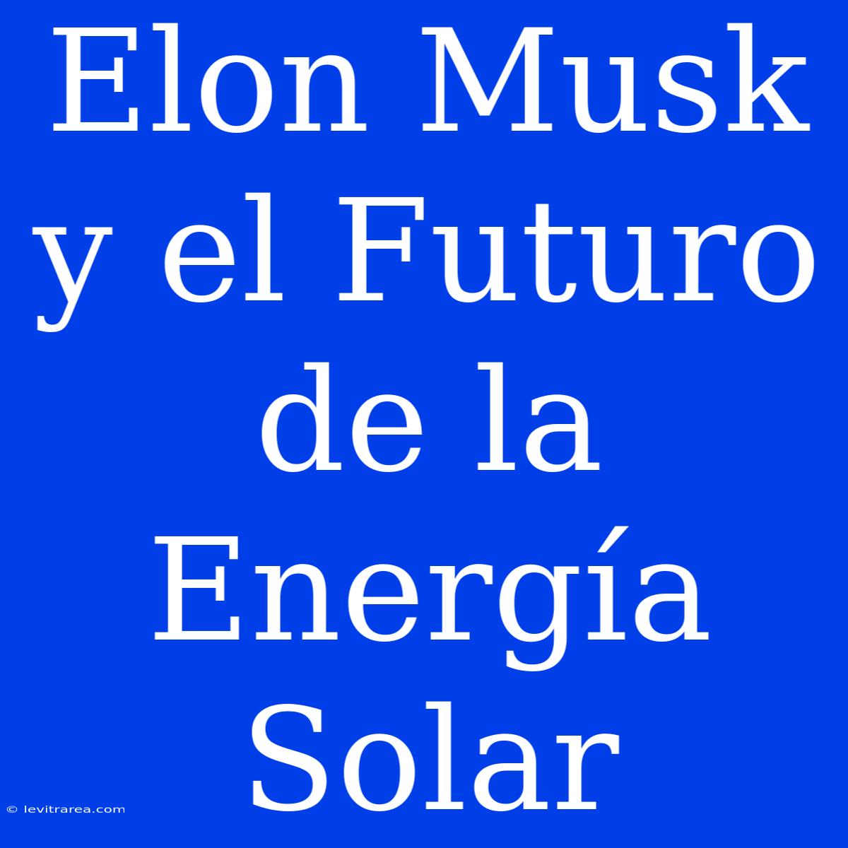 Elon Musk Y El Futuro De La Energía Solar