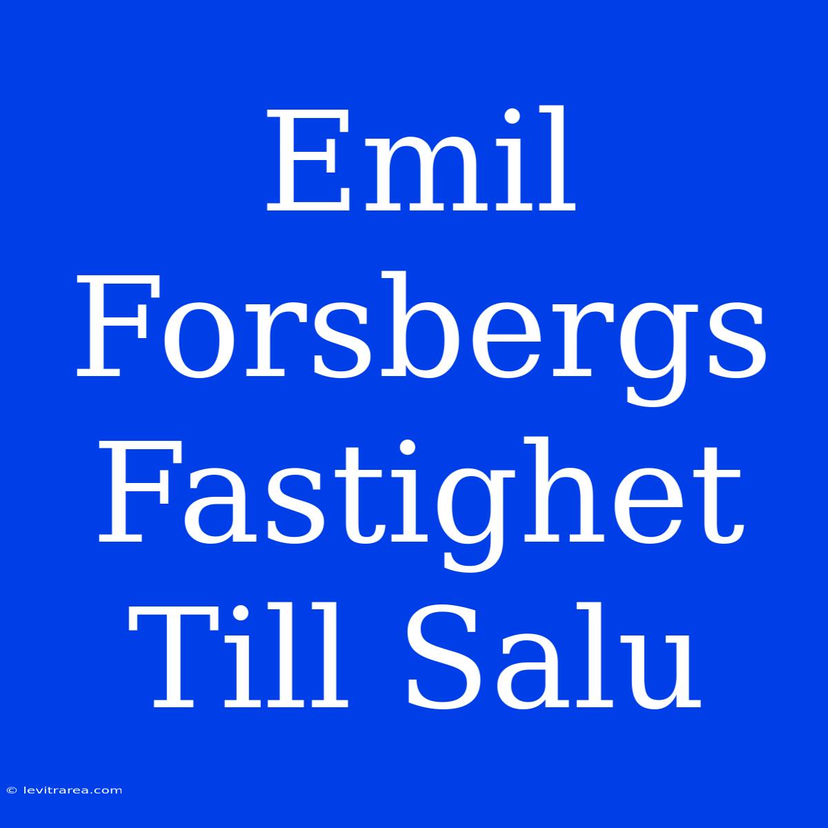 Emil Forsbergs Fastighet Till Salu