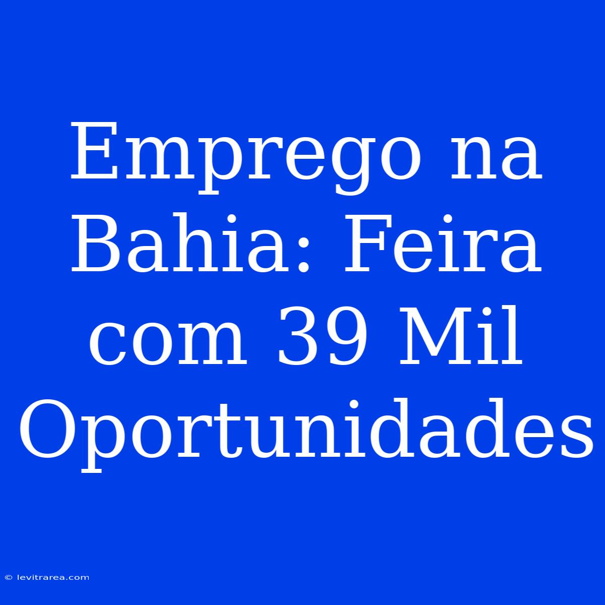 Emprego Na Bahia: Feira Com 39 Mil Oportunidades