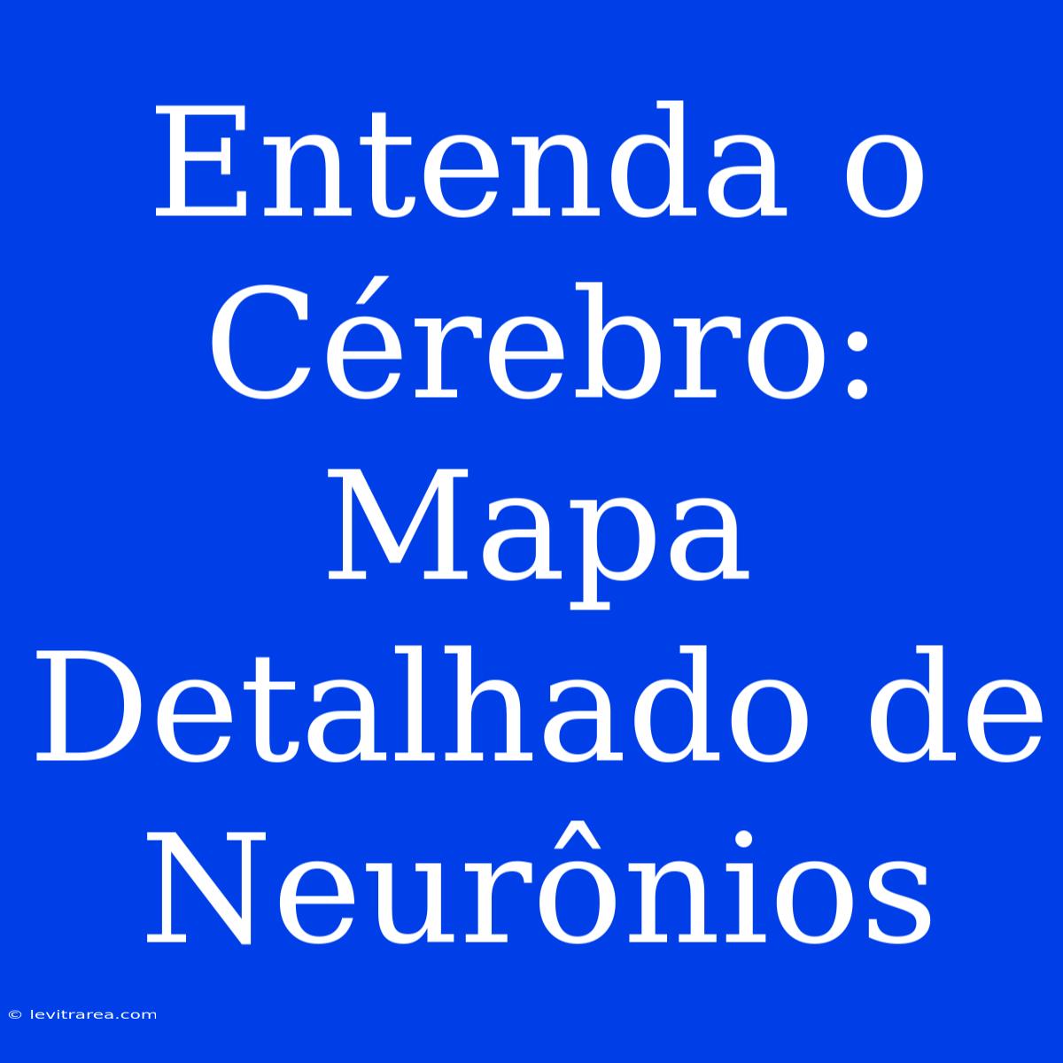 Entenda O Cérebro: Mapa Detalhado De Neurônios