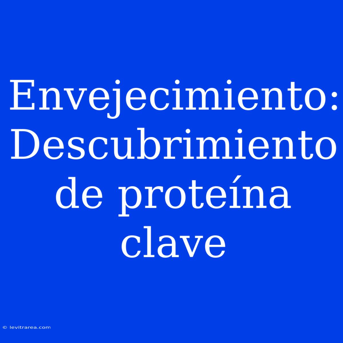 Envejecimiento: Descubrimiento De Proteína Clave