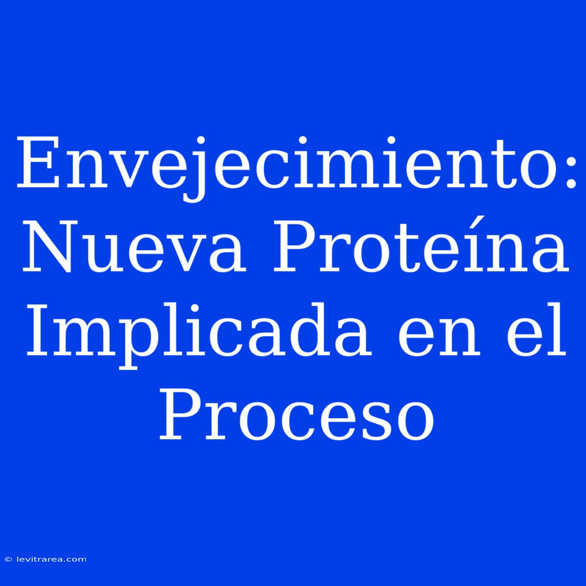 Envejecimiento: Nueva Proteína Implicada En El Proceso